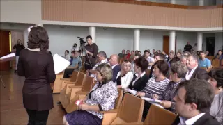 09.06.2016. Второе пленарное заседание 11 сессии Рубежанского городского совета, часть 2