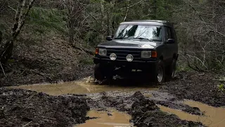 A Quick Drive Through the Woods in a Land Rover Discovery 1