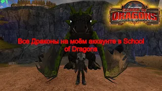 ВСЕ ДРАКОНЫ НА МОЁМ АККАУНТЕ ►► School of Dragons