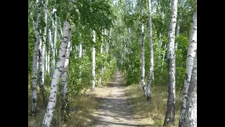 ДИКТАНТ- ЛЕСНОЙ ГОЛОСОК, 4 класс, 3 четверть. Преподаватель : Курская Е. Н.