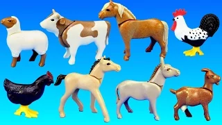 PLAYMOBIL Country Farm Animals Pen and Hen House Building Set Build Review