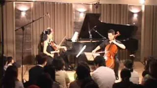 Brahms Trio Op. 8 (1st mov. part I).wmv