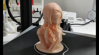 Čučka na tisk - Anime cérka na 3D tiskárně Ender3