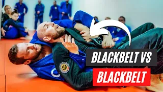 Black Belt Vs Black Belt | BJJ Rolling Commentary