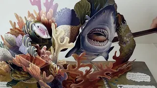 Wild océans Pop-up de Lucio et Meera Santoro  Présenté par Pop-Up-Féerie