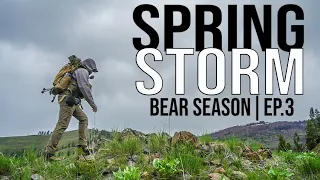 SPRING STORM | 2024 Spring Bear Hunt | Hunt Weekly