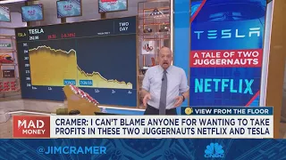 We are having one of those periodic swoons of Tesla and Netflix, says Jim Cramer