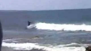 SGSG - Surf in Mini Capo