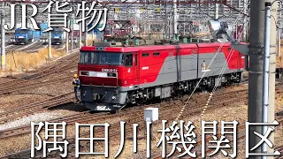 【鉄道風景・定点カメラ】JR貨物 隅田川機関区