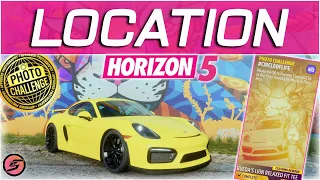 Farid Rueda Lion Mural LOCATION Forza Horizon 5 Photo Challenge #CIRCLEOFLIFE (Summer Series 6)