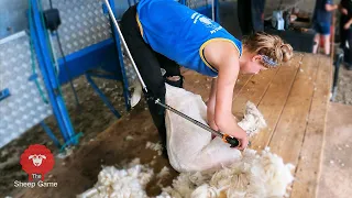INCREDIBLE FEMALE SHEARER |  Shearing Romney lambs and chatting with Katy Gardner