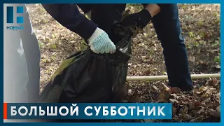 Более 20 тонн мусора собрали участники областного субботника в парке «Дружба» Тамбова