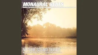 Monaural Beats Golden Sine 295.8 Hz (Fat Cells-metaphysics) 02