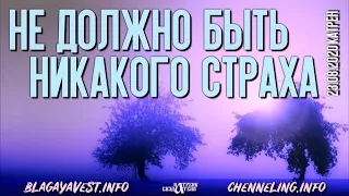 Катрены Создателя ✴ 23.08.2020 “Не должно быть никакого страха”