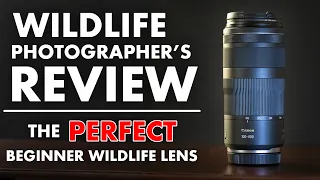 Canon RF 100-400 f/5.6-8 for Wildlife Photography - REVIEW (The PERFECT Beginner Wildlife Lens)