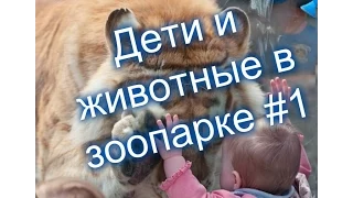 Приколы! Дети и животные в зоопарке #1