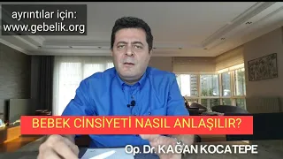 ANNE KARNINDAKİ BEBEĞİN CİNSİYETİNİ ÖĞRENMEK: KIZ-ERKEK BEBEK NASIL ANLAŞILIR, HATALI OLABİLİR Mİ?