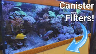 Saltwater Aquarium With Canister Filter