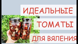 КАКИЕ СОРТА ТОМАТОВ ПРИГОДНЫ ДЛЯ ВЯЛЕНИЯ. СЕЕМ ЛУЧШИЕ СОРТА СЛИВОВИДНЫХ ТОМАТОВ ДЛЯ ТЕПЛИЦЫ