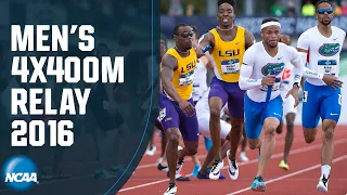 Men's 4x400m relay - 2016 NCAA Outdoor Track and Field Championships