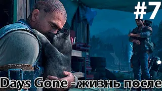 Days Gone. Полное прохождение Часть #7