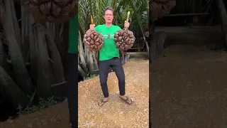 The Most Unique Fruit in the World - Here's How You Eat It! #Shorts