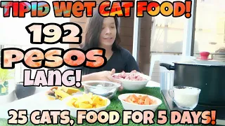 Tipid Homemade cat wet Food Recipe! balance diet!