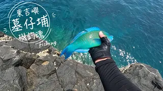 【磯釣】東吉嶼D4｜南方四島｜東吉墓仔埔｜看得到釣不到｜2022/06/21