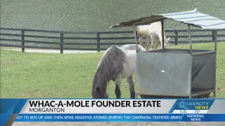 Inventors of Whac-A-Mole selling estate in Morganton