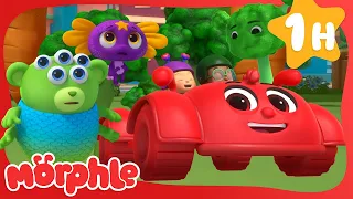 Morphle's Vegetable Race - Carrots, Broccoli 🥕🥦| Cartoons for Kids | Mila and Morphle