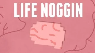 Welcome To Life Noggin!