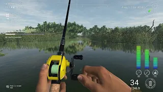 How to use a frog in the Everglades! Fishing planet Tips - Pt 2