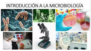 INTRODUCCIÓN A LA MICROBIOLOGÍA - ¿Qué es la microbiología?