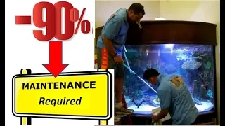 You CAN Reduce Your Aquarium Maintenance by 90%!