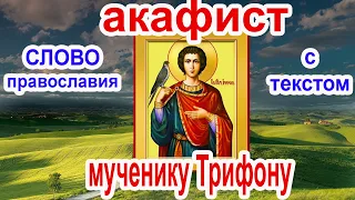 Акафист святому мученику Трифону аудио молитва с текстом и иконами