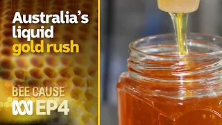 Australia’s liquid gold rush & the world’s oldest queen bee program 🐝 | Bee Cause #4 | ABC Australia