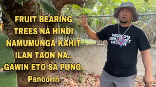 FRUIT BEARING TREES NA HINDI NAMUMUNGA KAHIT ILAN TAON NA.. GAWIN ETO SA PUNO. Panoorin