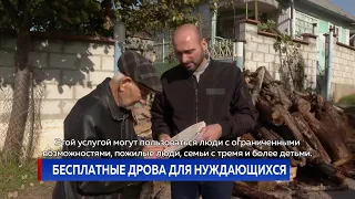 БЕСПЛАТНЫЕ ДРОВА ДЛЯ НУЖДАЮЩИХСЯ