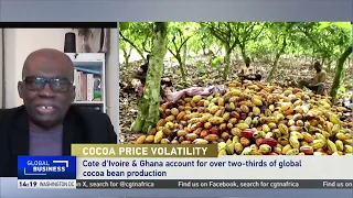 Cocoa prices experience sharp decline