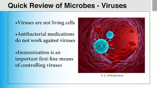 Module 1: Introduction to Infectious Diseases