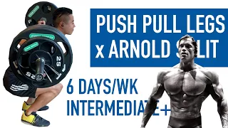 Push Pull Legs x Arnold Split | Full 6 Day Program Explained