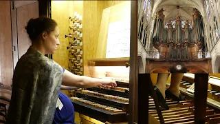 J.S. Bach Nun komm, der Heiden Heiland BWV 659 - Camille Déruelle  à l'orgue de Saint-Séverin, Paris