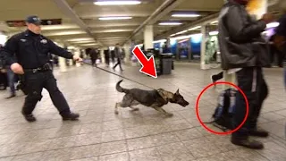 The police dog barked angrily at the suitcase. When people opened it, they almost fainted!