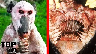 Top 10 Disturbing New Species That Are TERRIFYING Scientists