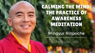 Mingyur Rinpoche ~ Calming the Mind: The Practice of Awareness Meditation