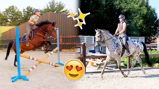 Crossles, springen met Arena en GALOPPEREN op Olympus! | felinehoi WEEKVLOG #271