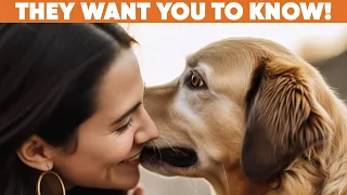 30 Eye-Opening Things Your DOG Desperately Wants You to Know!