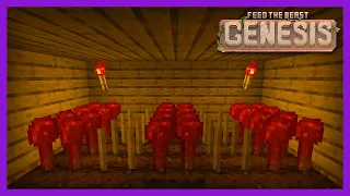 FTB Genesis | Redwheat & Ferry! | E04 | 1.19.2 FTB Modpack