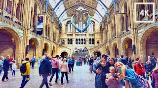 Natural History Museum Walk Tour 4K UHD - Relaxing Music ASMR