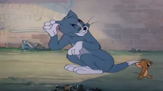 Tom and Jerry  | Tom Jerry | Cartoon For Kidstom and jerry